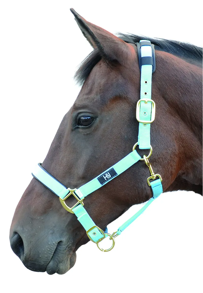Hy Equestrian Deluxe Padded Head Collar - Bright Blue